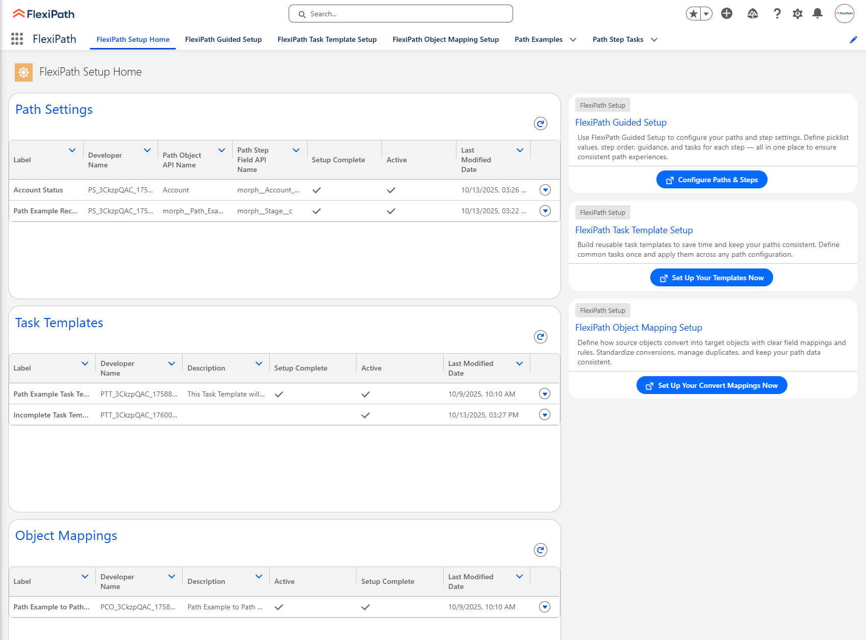 FlexiPath Guided Setup